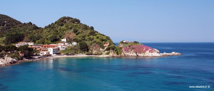 Sant'Andrea, Isola d'Elba